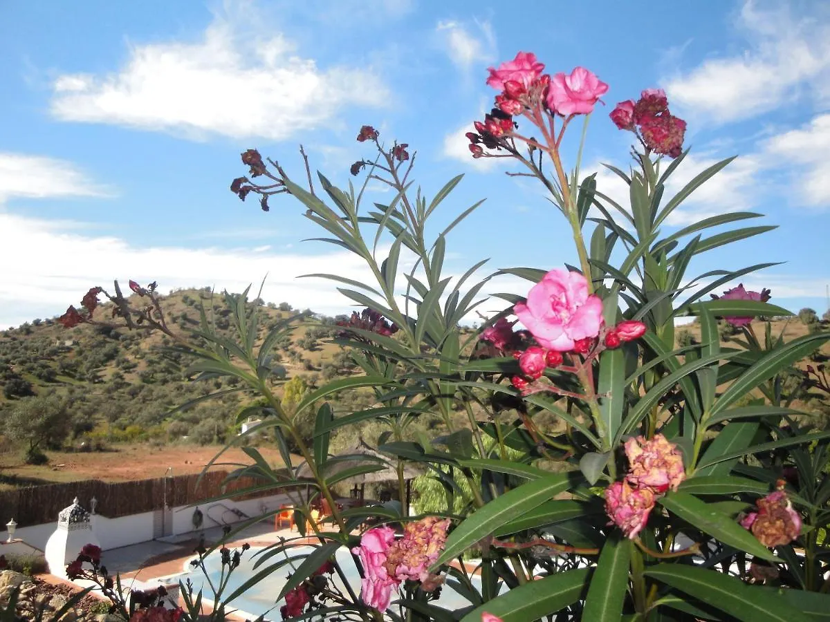 Bed & Breakfast B&B Casa El Corasueno Almogia